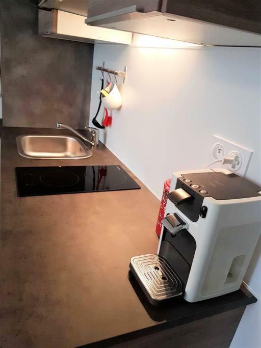 Tres Bel Appartement Centre Vitre 外观 照片